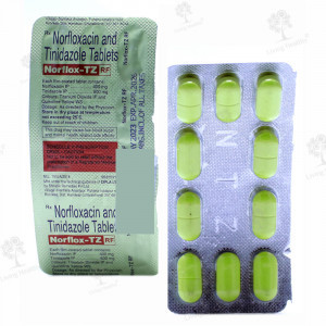 NORFLOX TZ TAB (10 TAB)