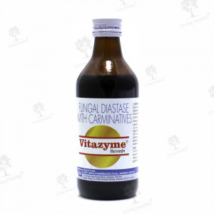 VITAZYME SYRUP (200 ML)