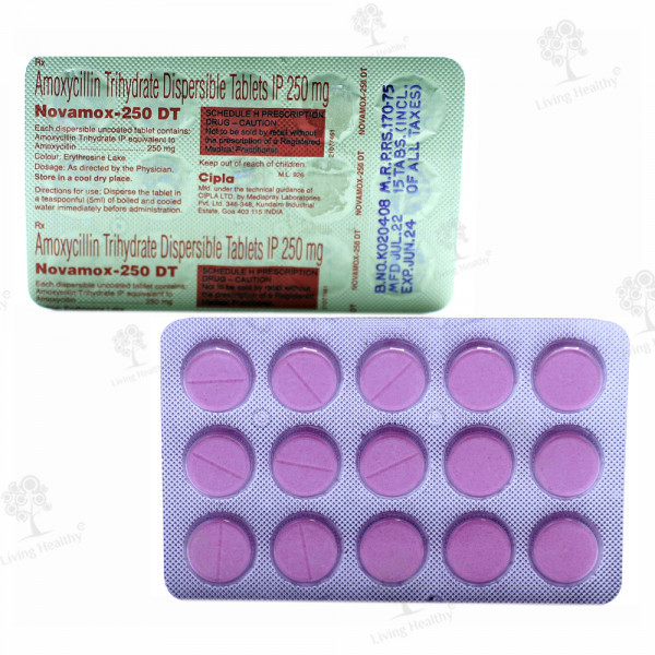 NOVAMOX DT 250 MG TAB (15TAB)