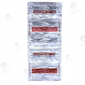 GABANTIP AT 100 MG TAB (10 TAB)