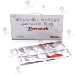 FEROZORB TAB  (10TAB)