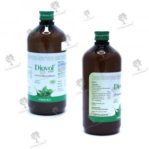 DIOVOL MINT (SF) SYRUP (400 ML)