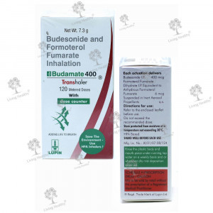 BUDAMATE 400 TRANSHALER (1 PCS)