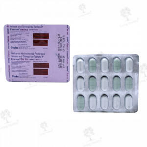 EXERMET GM 502 MG (15 TAB)