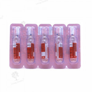 GENTICYN 80 MG INJ 2ML (1 PCS)